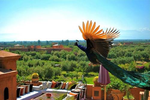 Kasbah Al Mendili Private