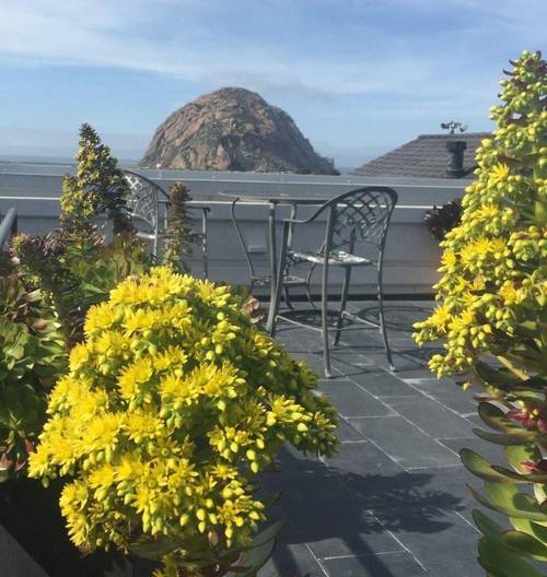 Ascot Suites, an Ascend Collection hotel