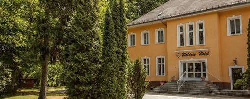 Waldsee Hotel Am Wirchensee