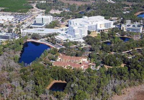 Courtyard Jacksonville Mayo Clinic Campus/Beaches