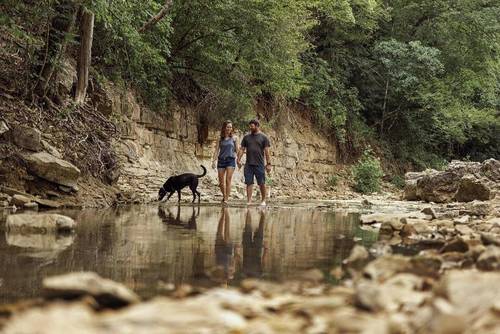 The Ozarker Lodge