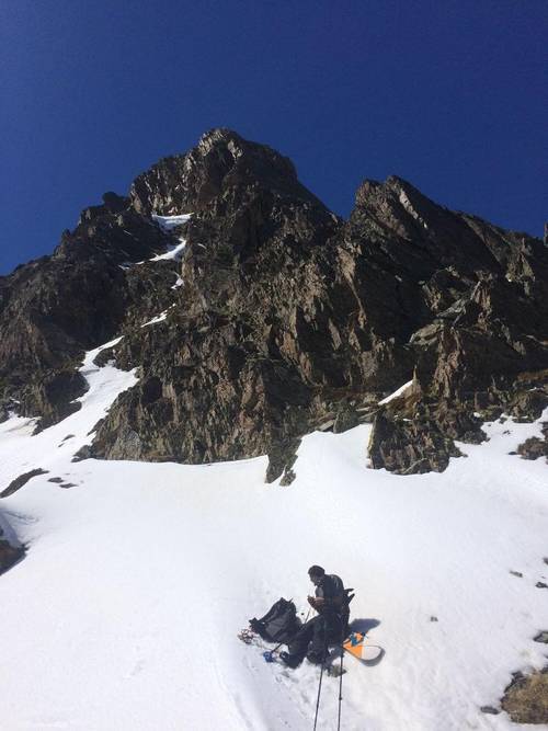 Les Edelweiss