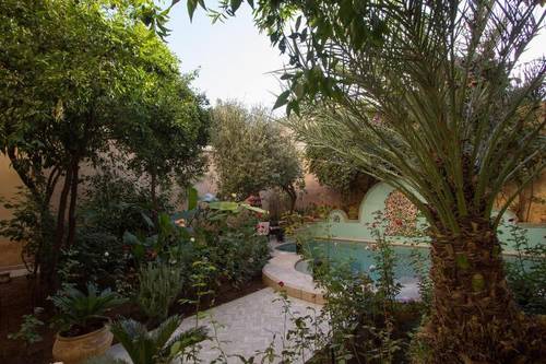 Riad Norma