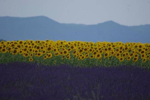 Hotel Bel Alp Manosque