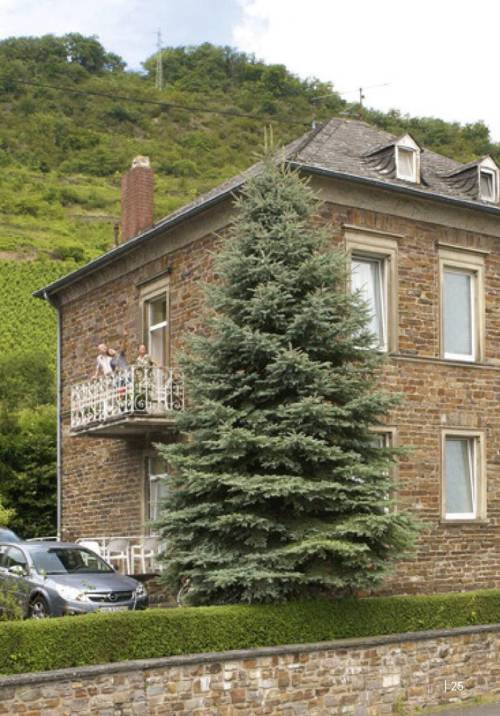 Schloss Hotel Petry