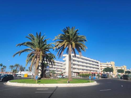 Las Camelias Apartments