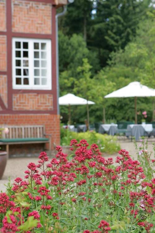 Waldhof Auf Herrenland