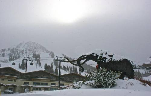 Alpenhof Lodge