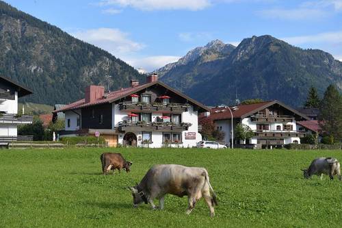 Best Western Plus Alpenhof
