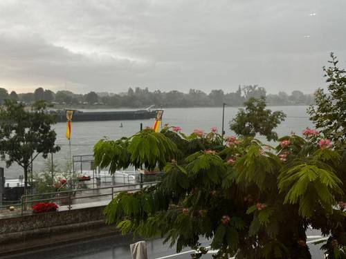 Rhein-Hotel Nierstein