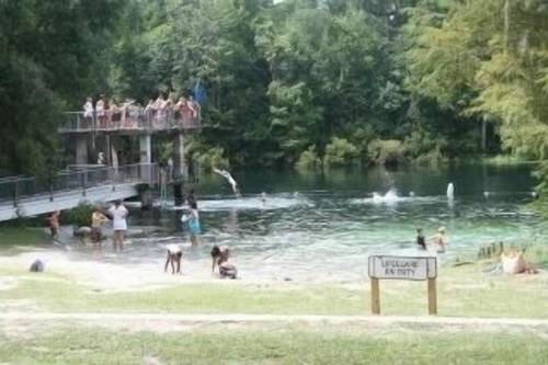Wakulla Springs Lodge