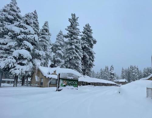 Pinewood Inn South Lake Tahoe