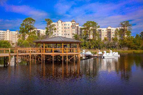 The Grove Resort & Water Park Orlando