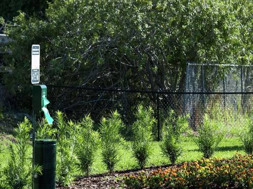 Home2 Suites by Hilton Orlando Airport