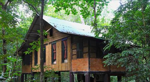 Khaosok Treehouse Resort