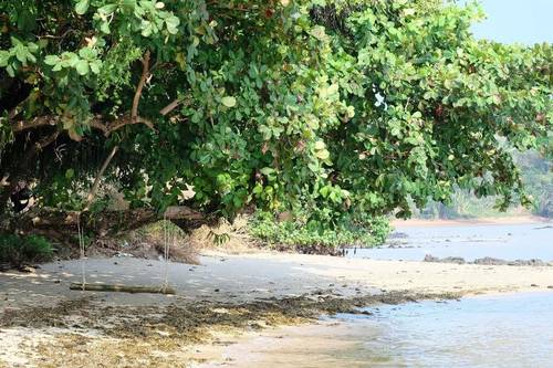 Plub Pla Koh Mak Retreat