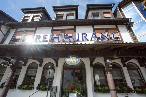 Hotel and Restaurant Goldener Pfug