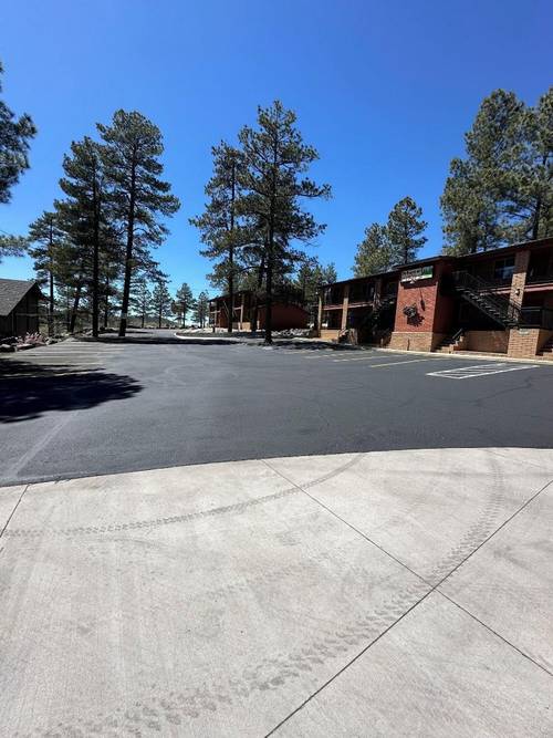 Motel In The Pines