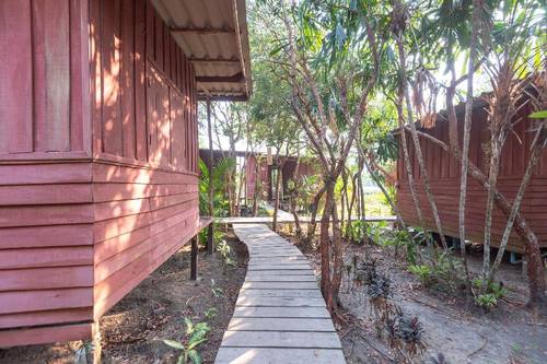 693 Tree House Cottage