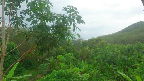 Phusambig Resort