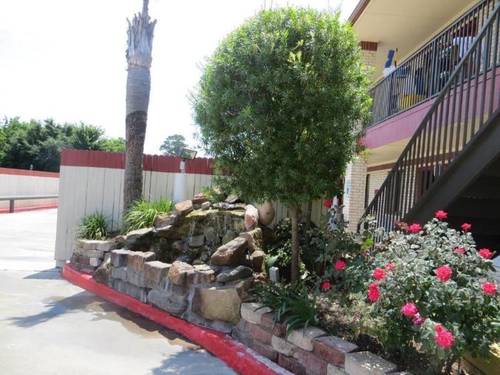 Palace Inn Wayside