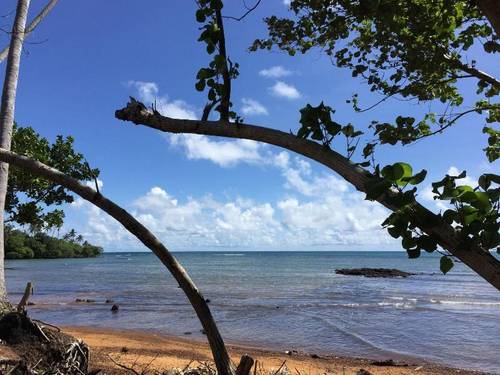 Naivacha Tent Koh Mak