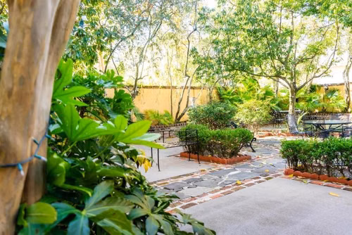 The Jasmine House