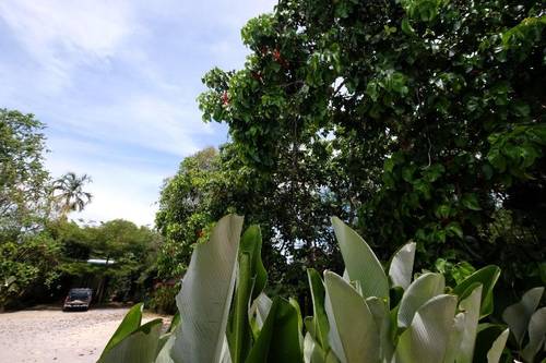Saneha Resort