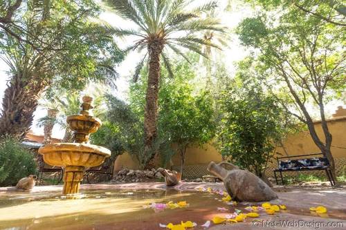 Ecolodge - La Palmeraie