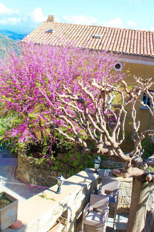Hôtel Restaurant U Santa Maria