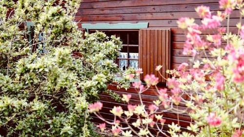 Hotel Forsthaus Luchsenburg