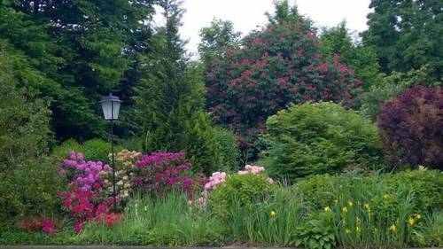 Hotel Meyer