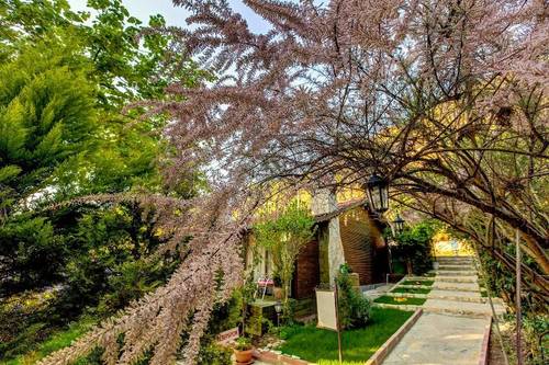 Ağva Park Mandalin Hotel - Adult Only