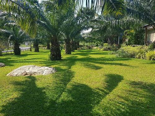 Palm Pran Resort