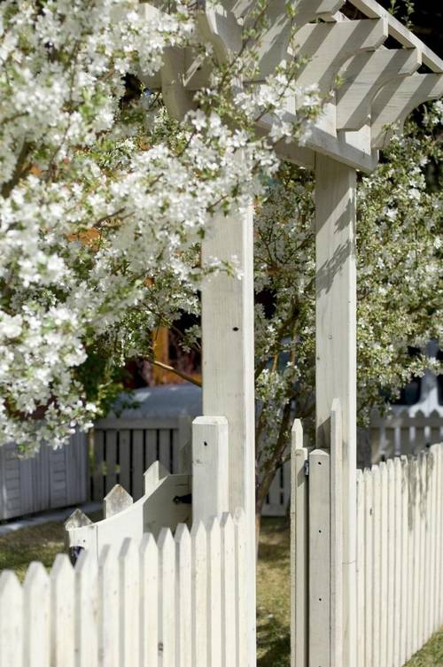 The Alpine House Lodge