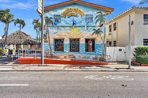 Hollywood Beach Seagull