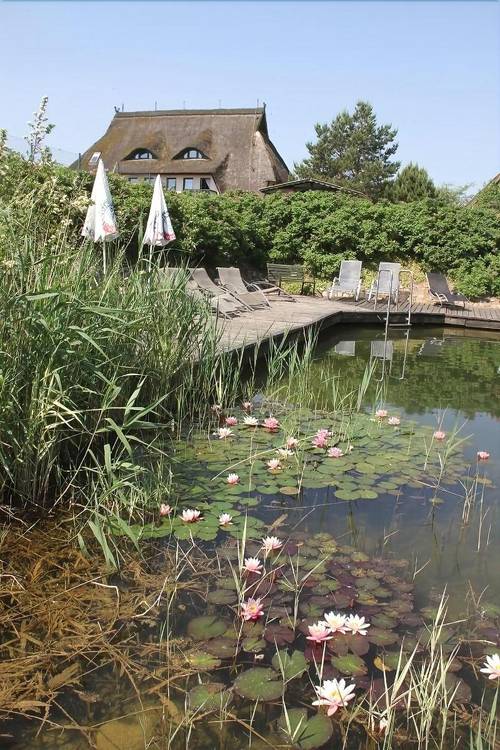 Kur- und Landhotel Borstel-Treff