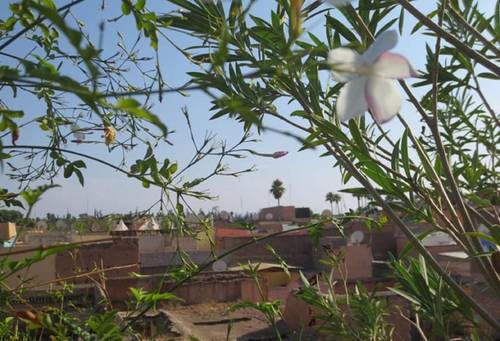Riad Hikaya
