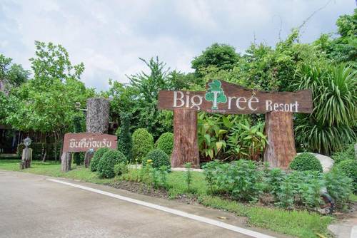 Big Tree Resort