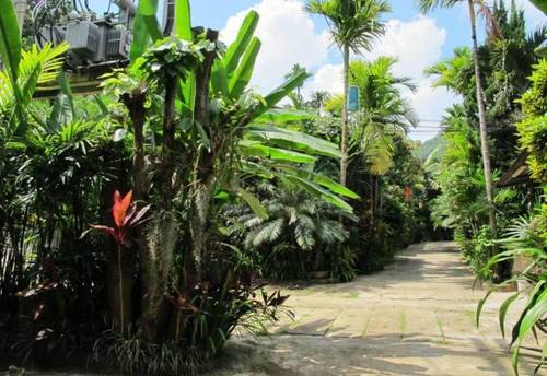 Huay Nam Rin Resort