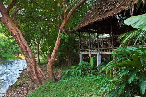 Khao Sok Riverside Cottage