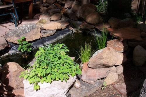 Elden Trails Bed And Breakfast