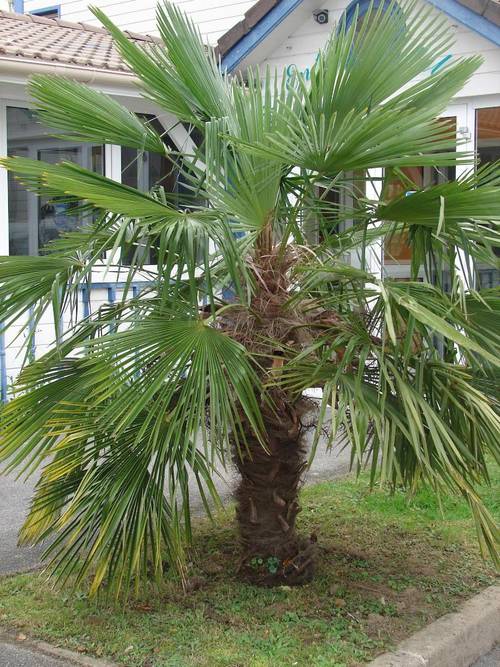 BUDGET HOTEL Melun – Dammarie les Lys