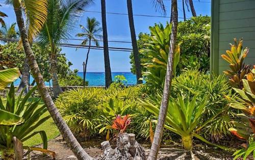Vacation Condos In Kona
