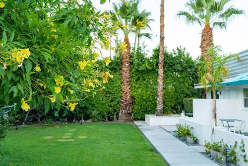 BelleVue Oasis-Palm Springs