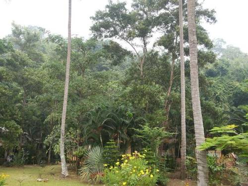 Grand Andaman Resort