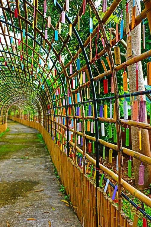Bamboo Grove Chiang Mai