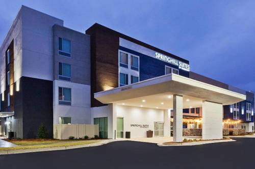 Springhill Suites By Marriott Montgomery Prattvill