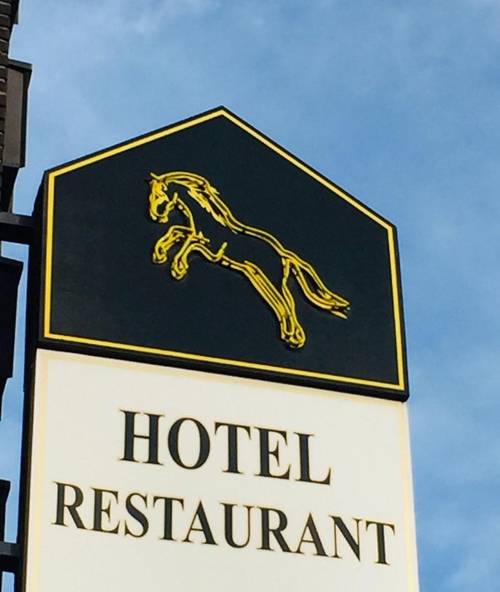 H&S Hotel Wildpferd