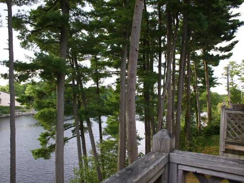 Milford Motel On The River